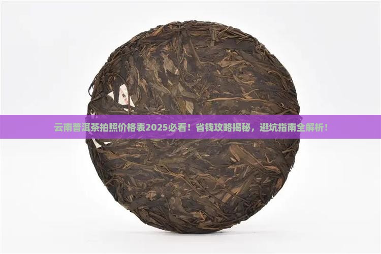 云南普洱茶拍照价格表