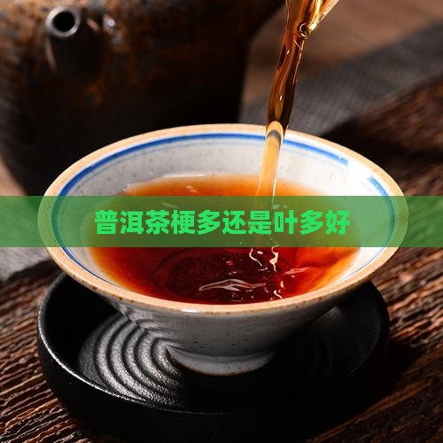 普洱茶梗多还是叶多好