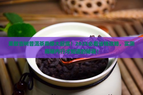 果敢吉树普洱茶
