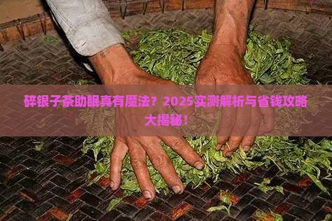 碎银子茶有助眠功效吗