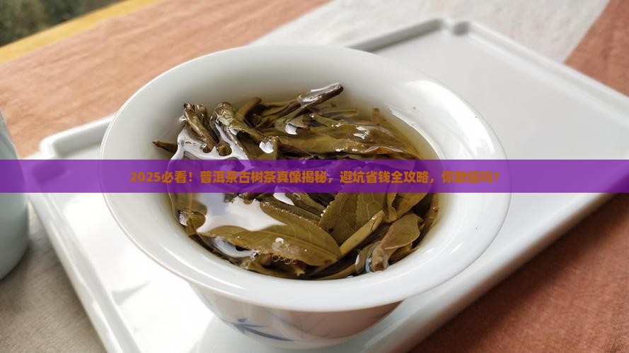 普洱茶分古树茶