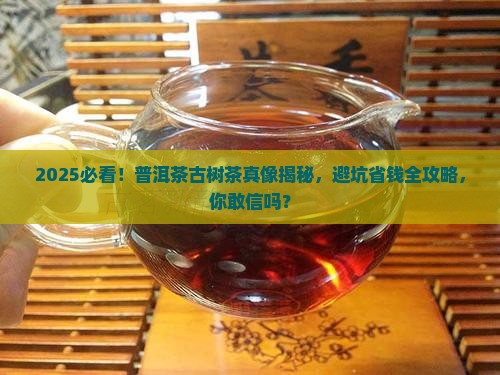 普洱茶分古树茶
