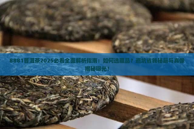 8881普洱茶