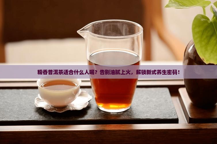 糯香普洱茶适合什么人喝