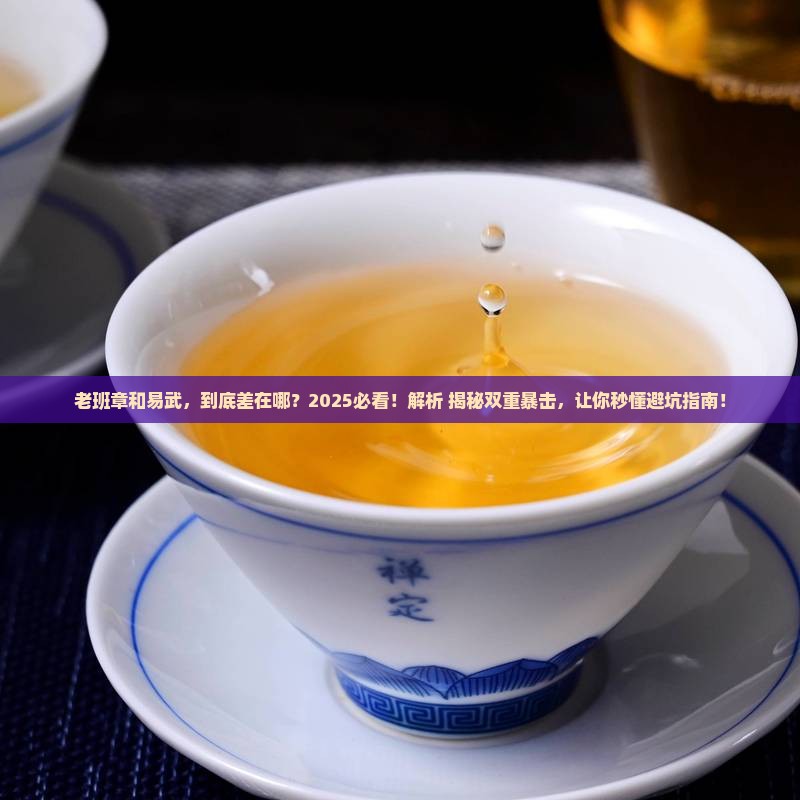 老班章易武的区别