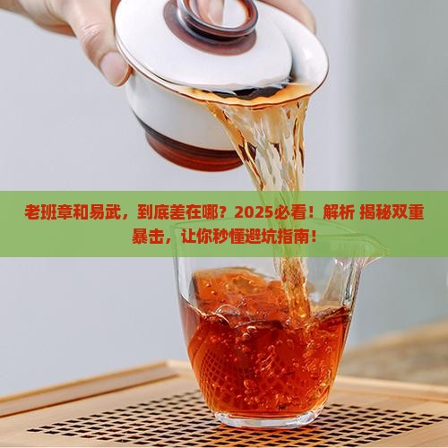 老班章易武的区别