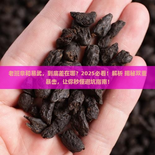 老班章易武的区别