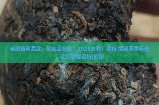 老班章易武的区别