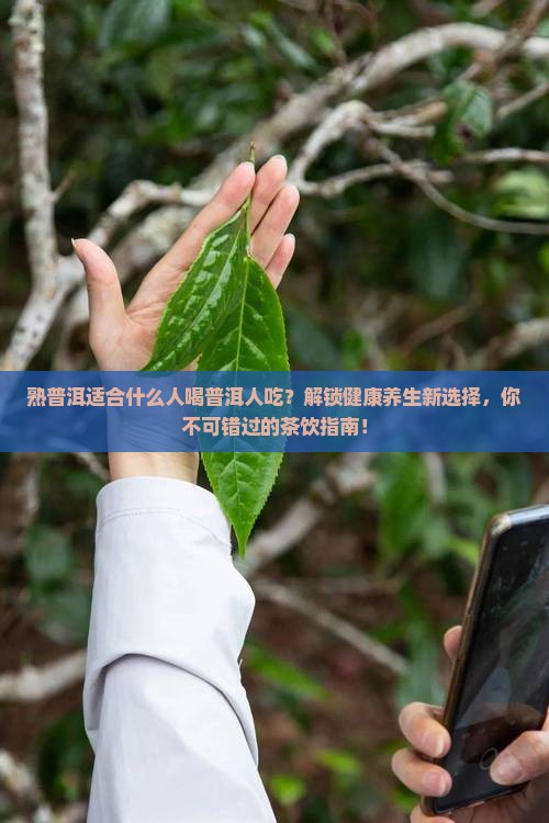 熟普洱适合什么人喝普洱人吃