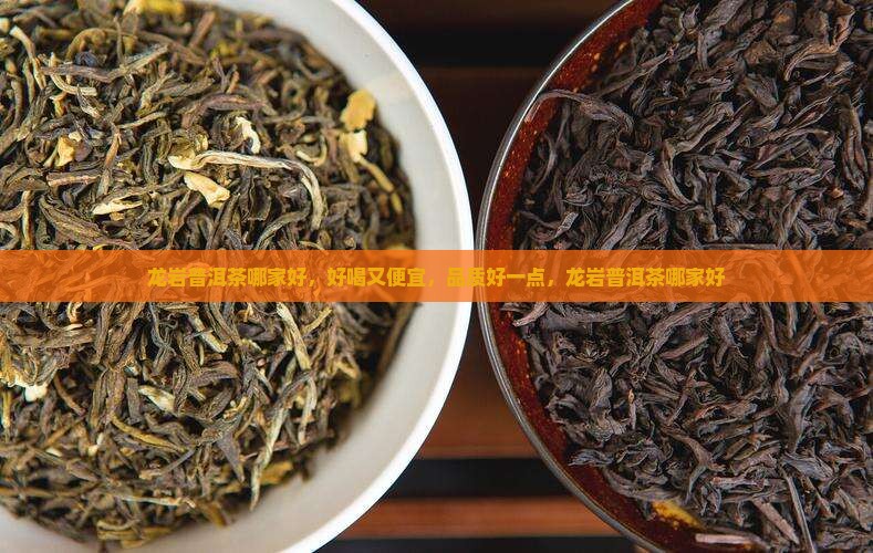 龙岩普洱茶哪家好