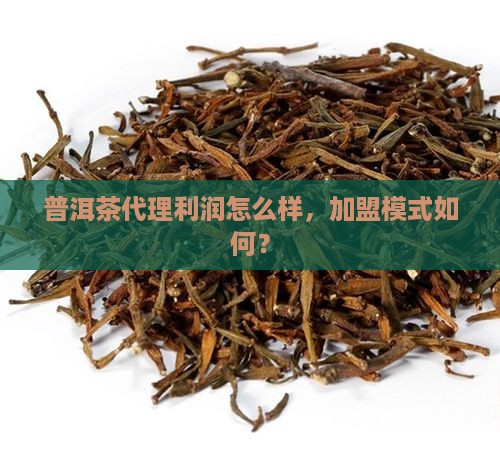 普洱茶代理利润怎么样