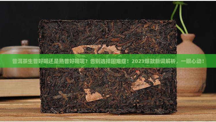 普洱茶生普好喝还是熟普好喝呢