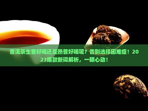 普洱茶生普好喝还是熟普好喝呢