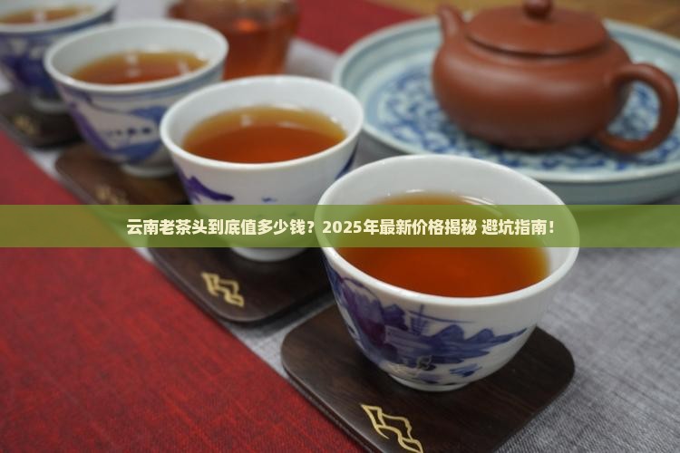 云南老茶头价格是多少