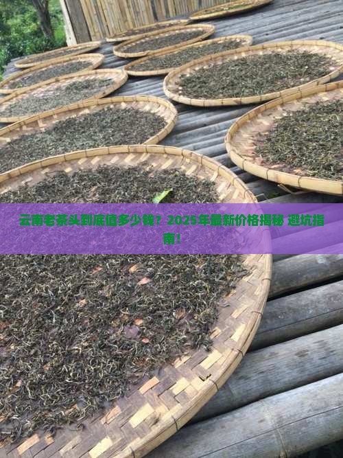 云南老茶头价格是多少