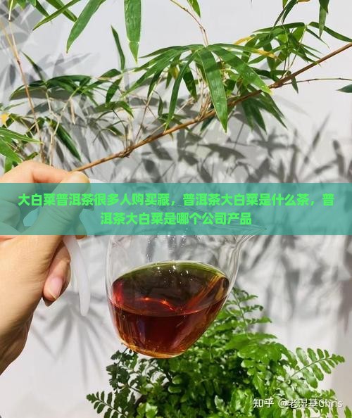 大白菜普洱茶很多人购买藏