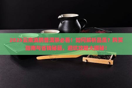 云南滇鹏普洱茶