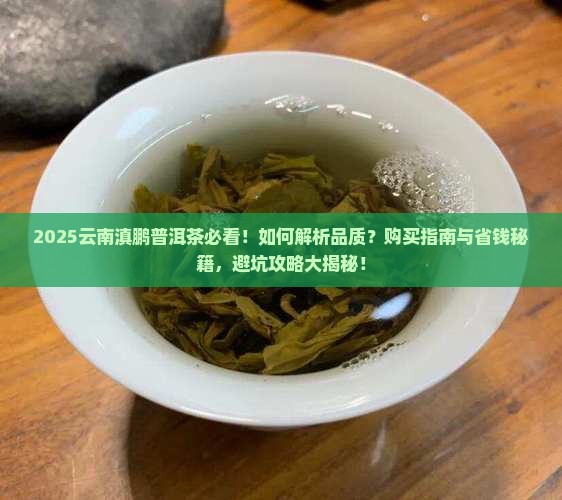 云南滇鹏普洱茶