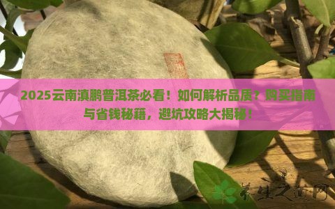 云南滇鹏普洱茶