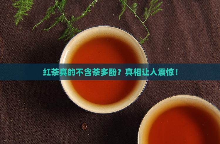 红茶不含茶多酚