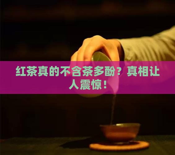 红茶不含茶多酚