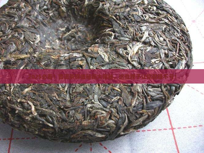 什么牌子的普洱茶保值