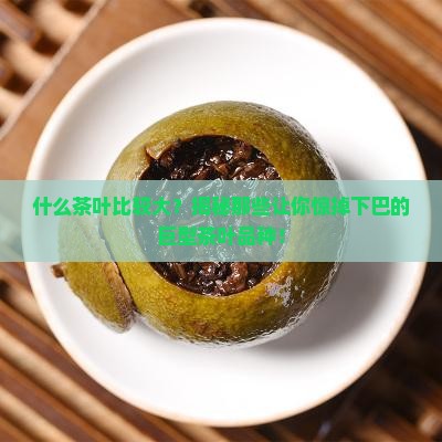 什么茶叶比较大