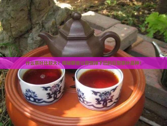 什么茶叶比较大