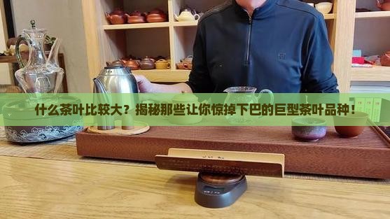 什么茶叶比较大