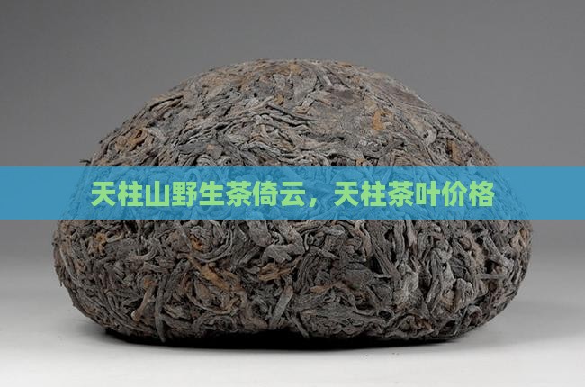 天柱山野生茶倚云