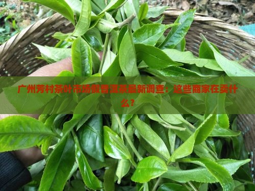 广州芳村茶叶市场假普洱茶