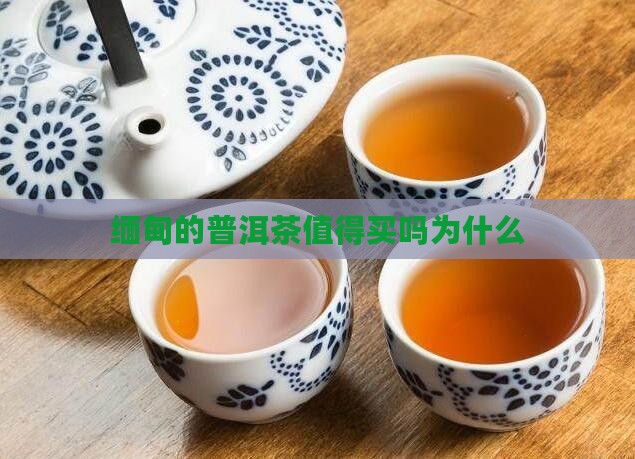 缅甸的普洱茶值得买吗为什么