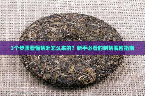 茶叶的加工工序