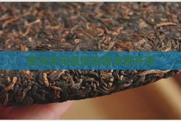 润元昌逸仙普洱茶开汤