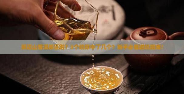 景迈山普洱茶区别