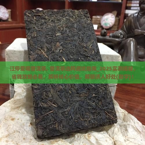 江停爱喝普洱茶