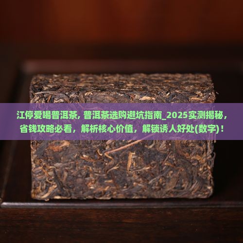 江停爱喝普洱茶