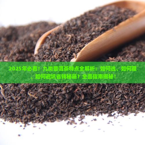 九类普洱茶的特点