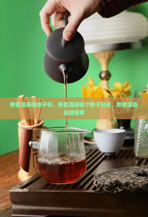 熟普洱茶啥牌子好
