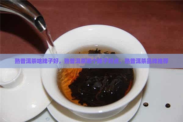 熟普洱茶啥牌子好