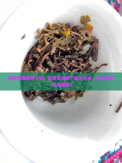 熟普洱茶啥牌子好