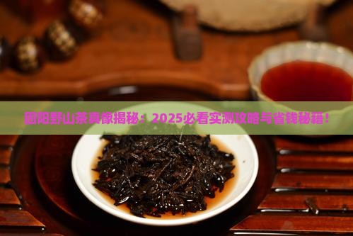 固阳野山茶有什么功效