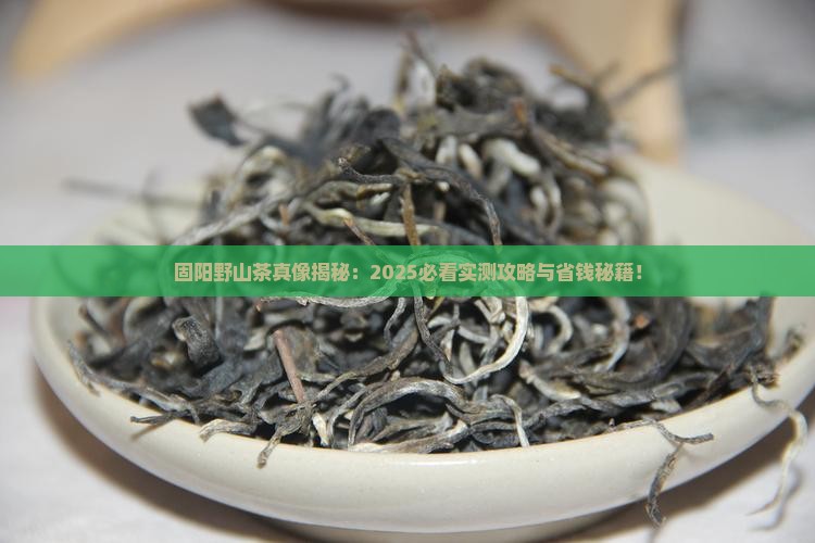 固阳野山茶有什么功效