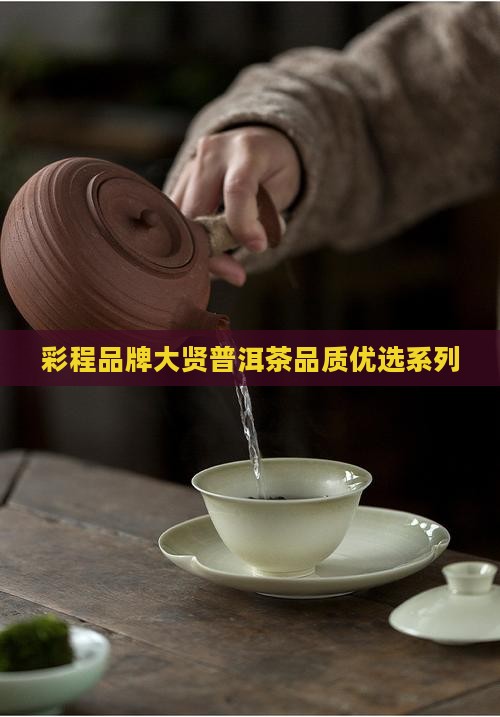 彩程品牌大贤普洱茶