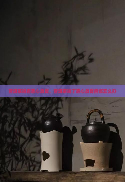 普洱茶喝着恶心