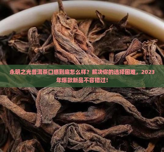 永明之光普洱茶口感