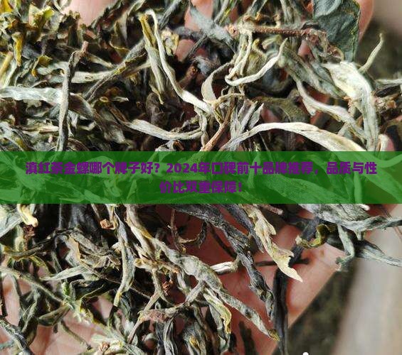 滇红茶金螺哪个牌子好