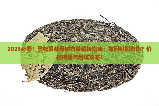曼松贡茶母树古茶