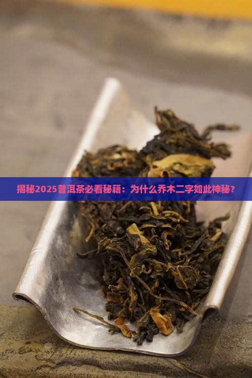 为什么普洱茶都带乔木字