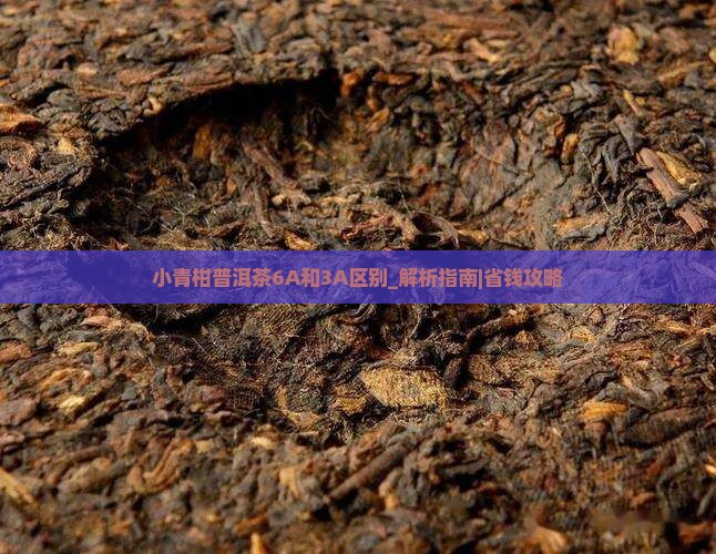 小青柑普洱茶6A和3A区别
